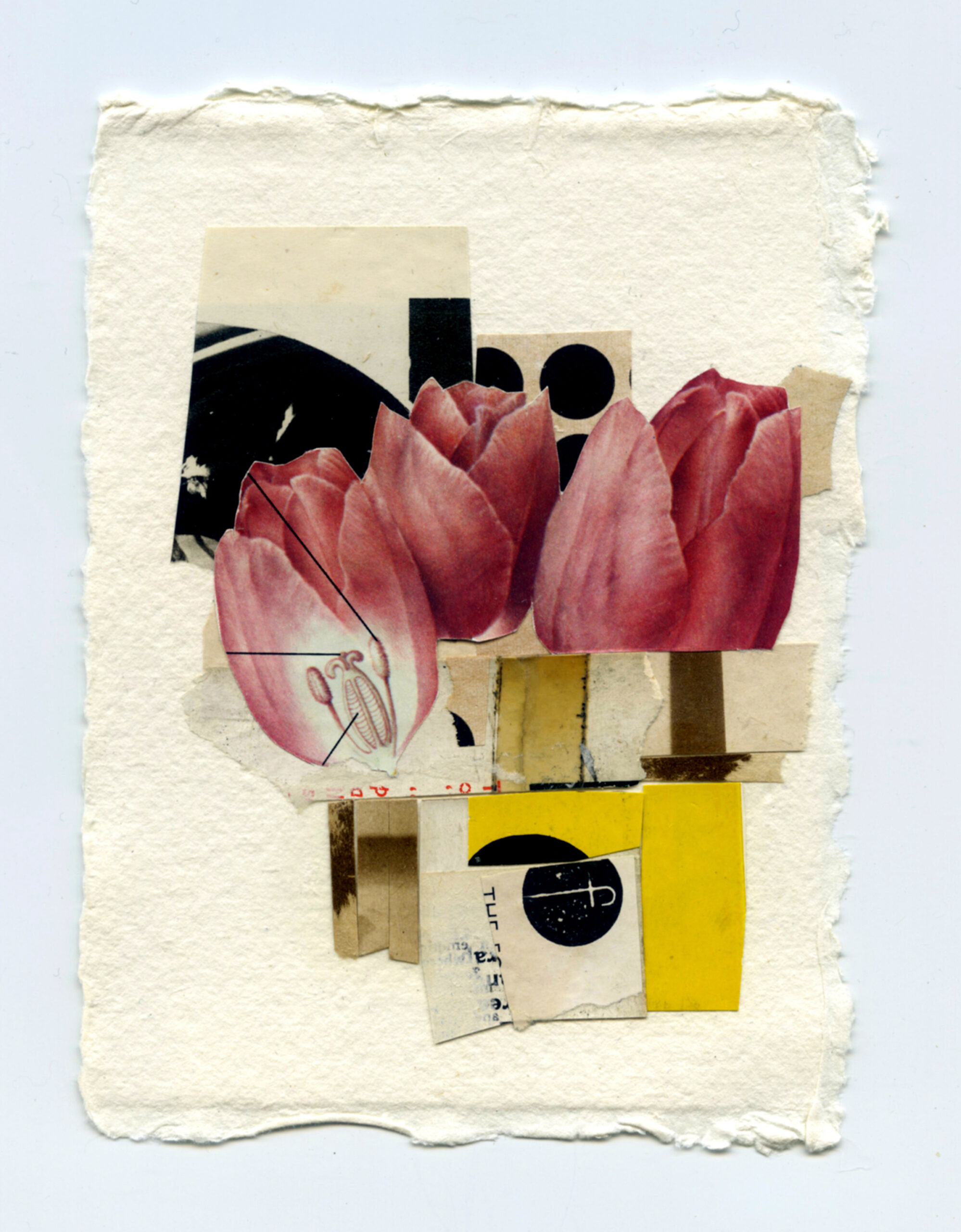 ‘Arrangement’, hand cut collage using vintage paper fragments on cotton rag paper, 11cm x 15cm